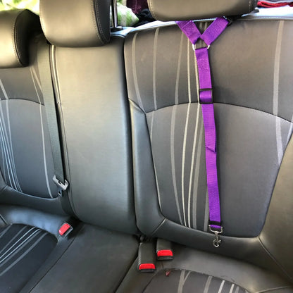 Adjustable Pet Car Lead/Leash