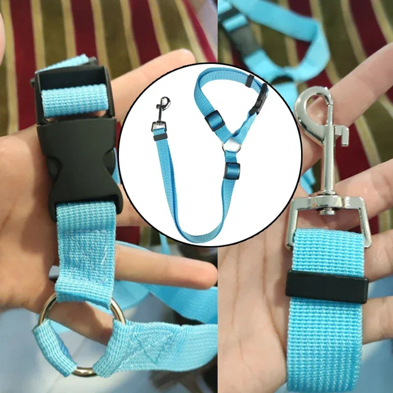 Adjustable Pet Car Lead/Leash